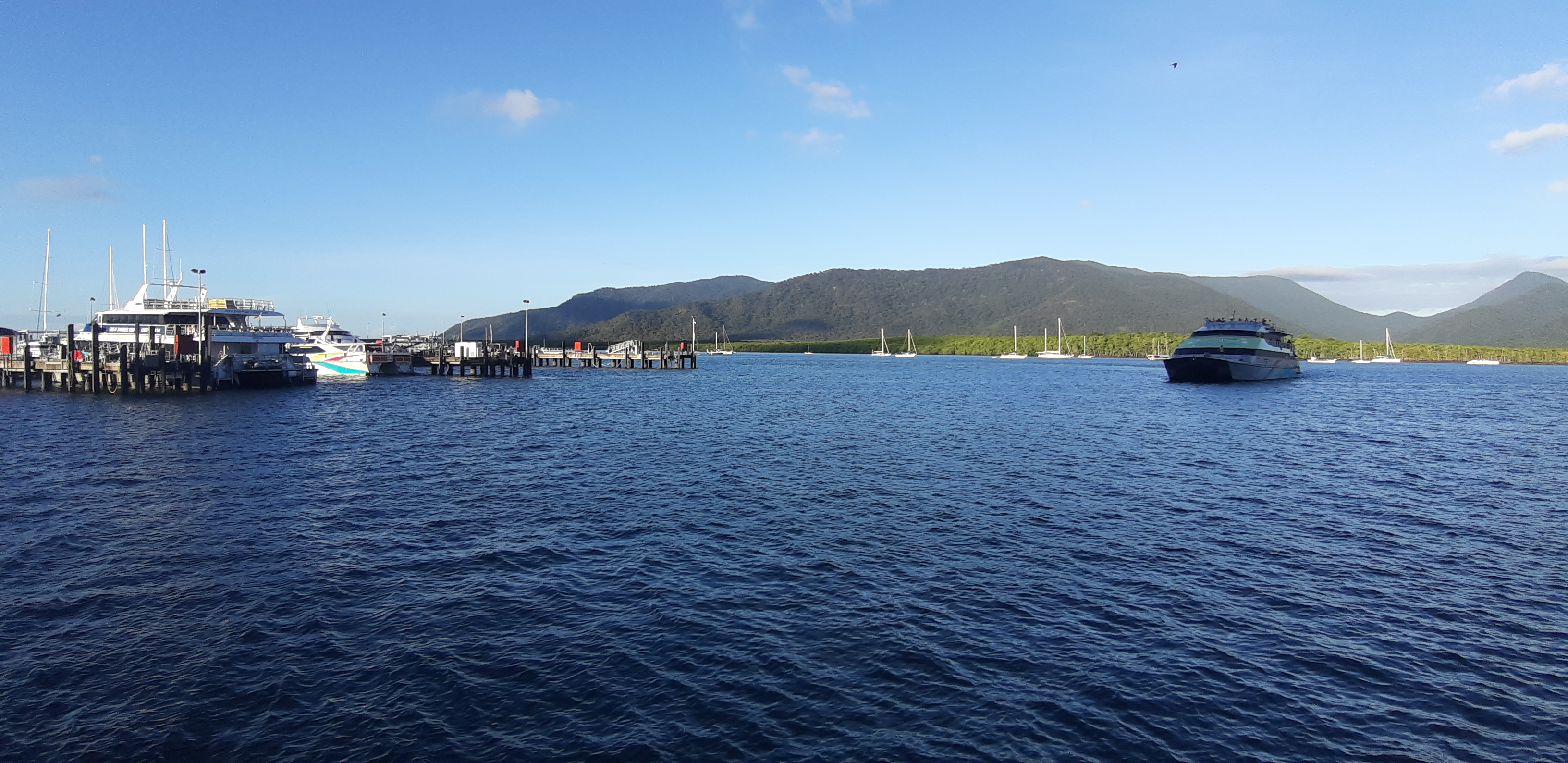 The view from Cairns harbour